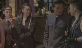 谢文东电视剧全集,黑道风云再起