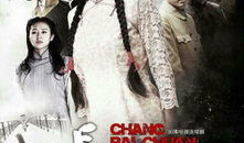 长白川电视剧,情牵长白，梦回川城