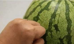 14分钟吃瓜爆料,揭秘娱乐圈惊人内幕